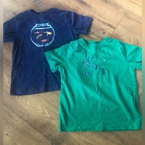 Hanna Andersson T shirts (set of 2)